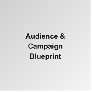 Audience & Campaign Blueprint